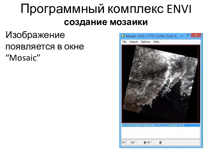 Программный комплекс ENVI создание мозаики Изображение появляется в окне “Mosaic”