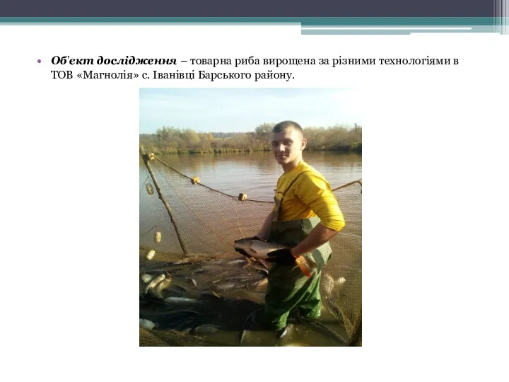 Об’єкт дослідження – товарна риба вирощена за різними технологіями в ТОВ «Магнолія» с. Іванівці Барського району.