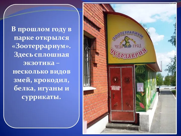 В прошлом году в парке открылся «Зоотеррариум». Здесь сплошная экзотика