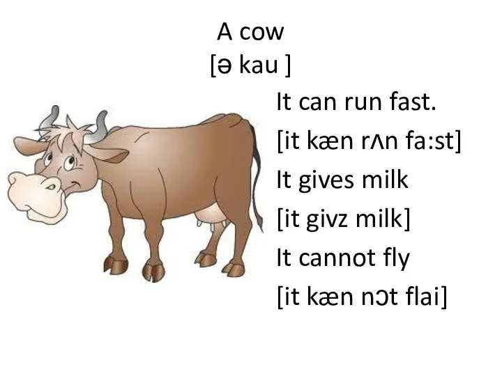 A cow [ə kau ] It can run fast. [it