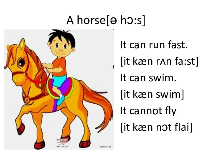 A horse[ə hɔ:s] It can run fast. [it kæn rʌn
