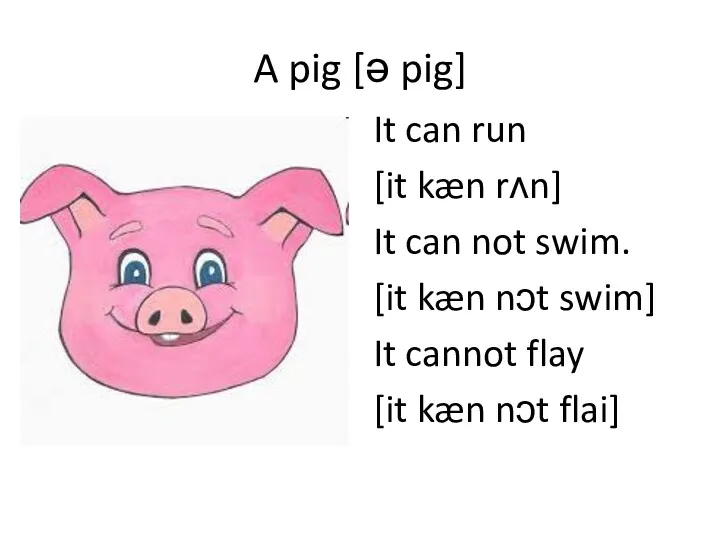 A pig [ə pig] It can run [it kæn rʌn]