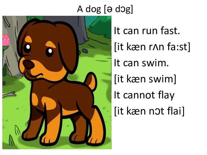 A dog [ə dɔg] It can run fast. [it kæn