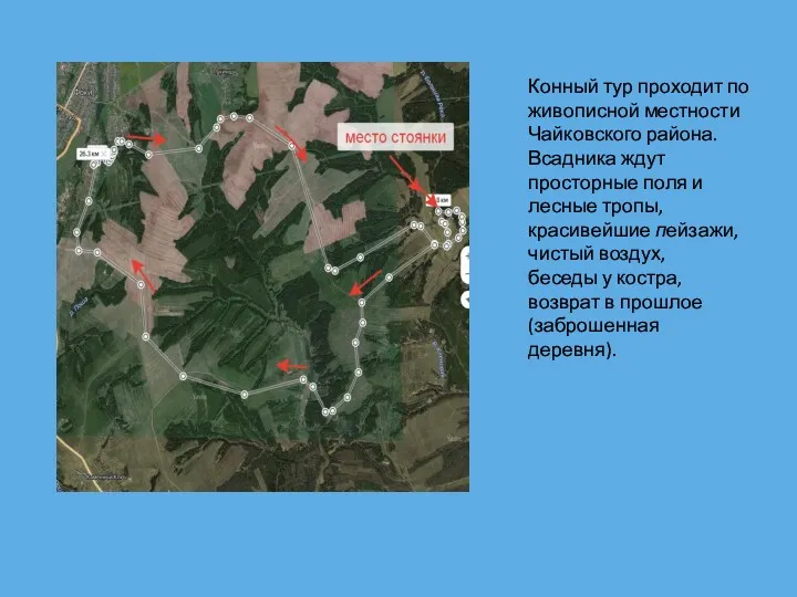 Конный тур проходит по живописной местности Чайковского района. Всадника ждут