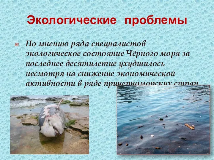 Экологические проблемы По мнению ряда специалистов экологическое состояние Чёрного моря за последнее десятилетие