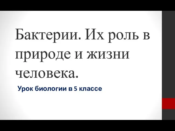 Бактерии. Их роль в природе и жизни человека. Урок биологии в 5 классе