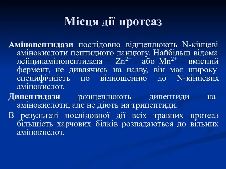 Амінопептидази послідовно відщеплюють N-кінцеві амінокислоти пептидного ланцюгу. Найбільш відома лейцинамінопептидаза