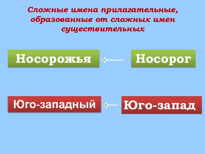 Сложные имена прилагательные, образованные от сложных имен существительных Носорожья Носорог Юго-западный Юго-запад