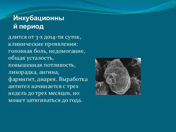 Инкубационный период длится от 3-х до14-ти суток, клинические проявления: головная