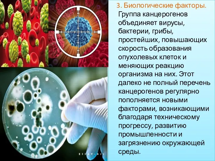 3. Биологические факторы. Группа канцерогенов объединяет вирусы, бактерии, грибы, простейших,