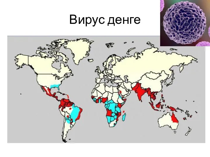 Вирус денге