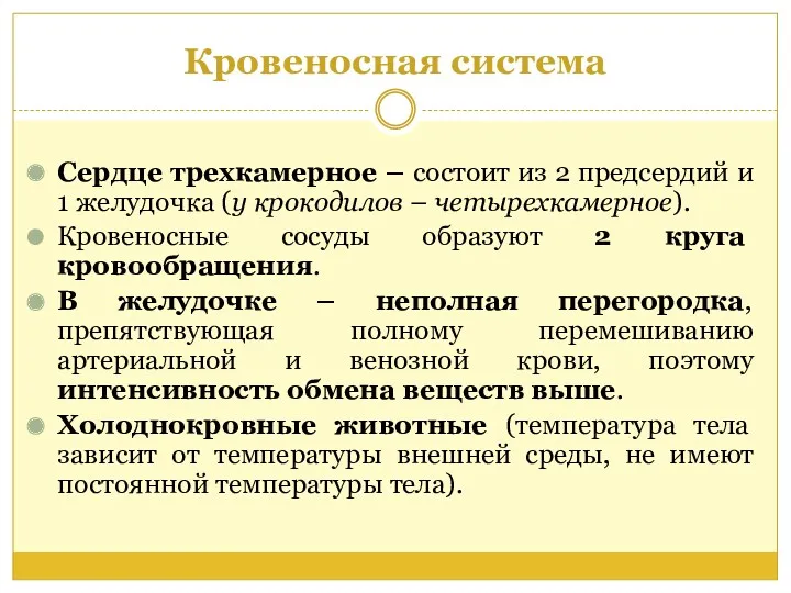 Кровеносная система Сердце трехкамерное – состоит из 2 предсердий и