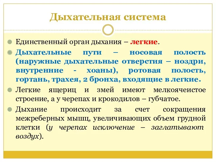 Дыхательная система Единственный орган дыхания – легкие. Дыхательные пути –