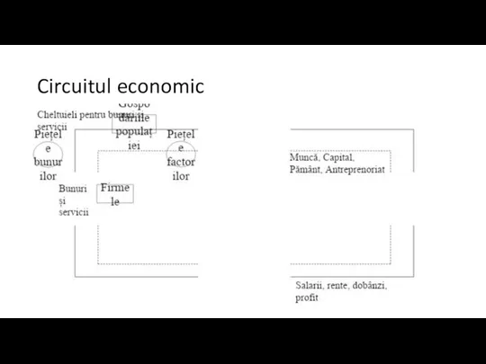 Circuitul economic
