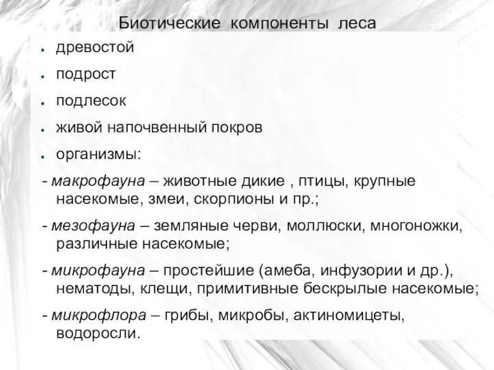 Биотические компоненты леса древостой подрост подлесок живой напочвенный покров организмы: