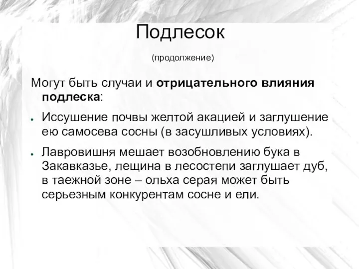 Подлесок (продолжение) Могут быть случаи и отрицательного влияния подлеска: Иссушение