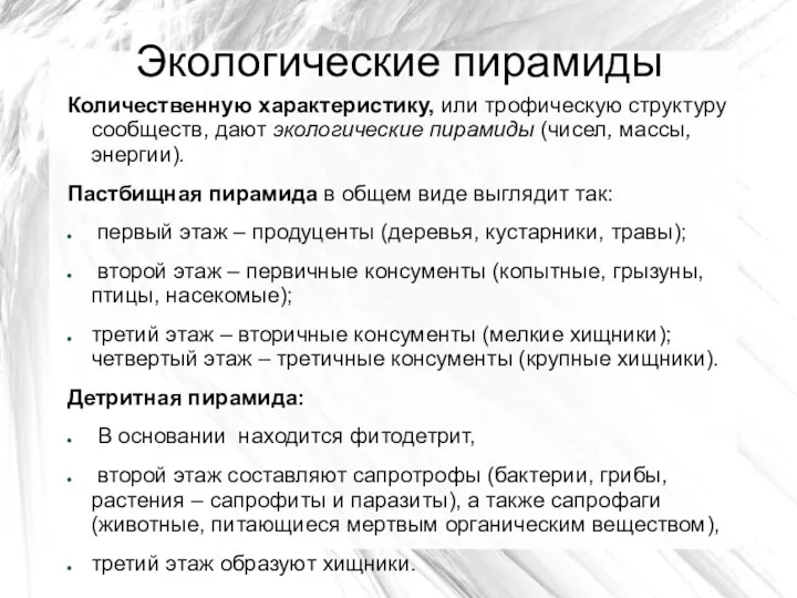 Экологические пирамиды Количественную характеристику, или трофическую структуру сообществ, дают экологические