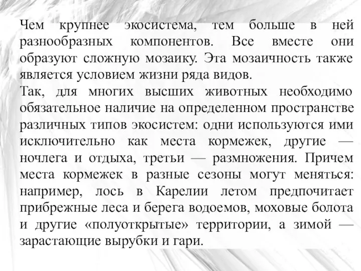 Чем крупнее экосистема, тем больше в ней разнообразных компонентов. Все