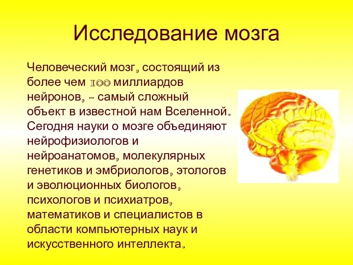 Исследование мозга Человеческий мозг, состоящий из более чем 100 миллиардов