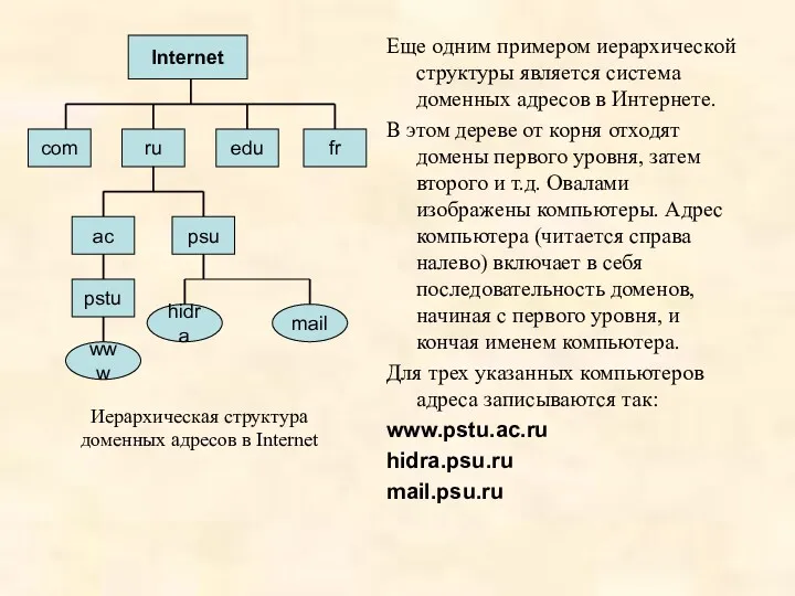 Еще одним примером иерархической структуры является система доменных адресов в