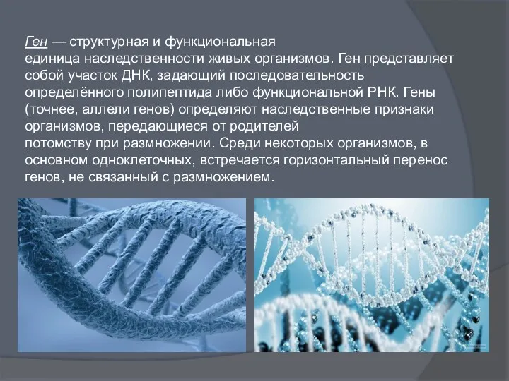 Ген — структурная и функциональная единица наследственности живых организмов. Ген представляет собой участок
