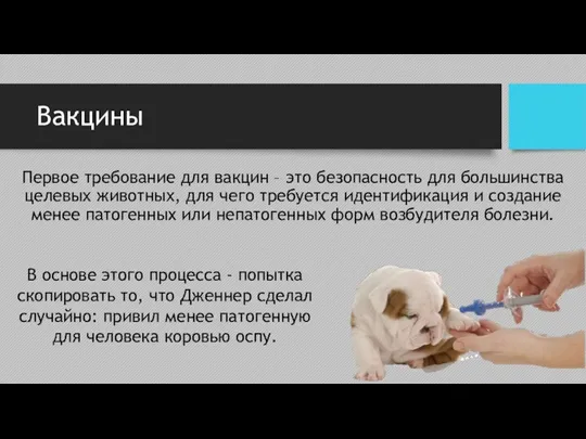 Вакцины Первое требование для вакцин – это безопасность для большинства