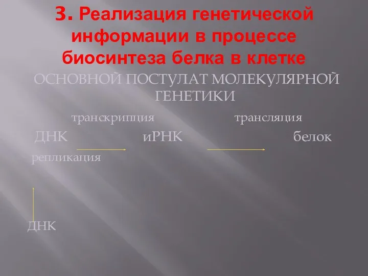 3. Реализация генетической информации в процессе биосинтеза белка в клетке