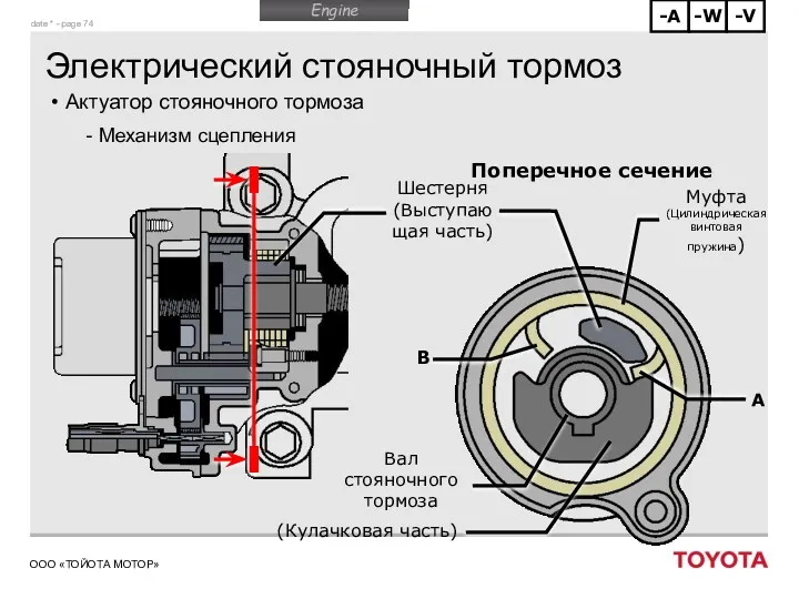 Электрический стояночный тормоз Актуатор стояночного тормоза Механизм сцепления Муфта (Цилиндрическая винтовая пружина) Вал