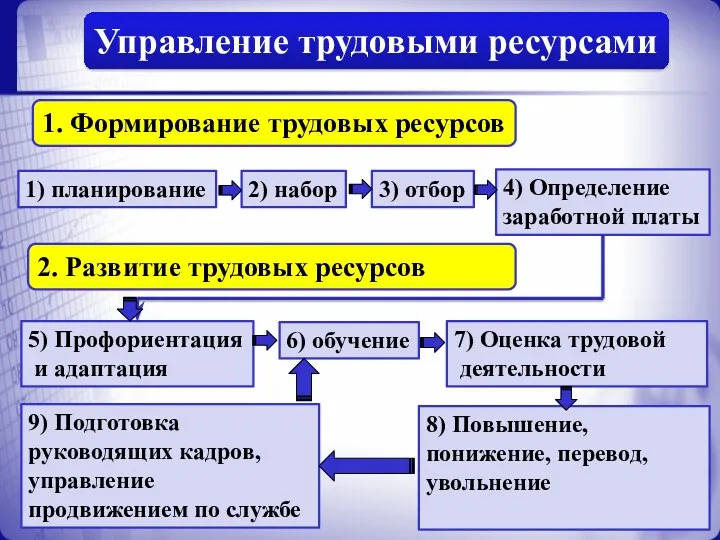 Управление трудовыми ресурсами 1. Формирование трудовых ресурсов 2. Развитие трудовых ресурсов 1) планирование