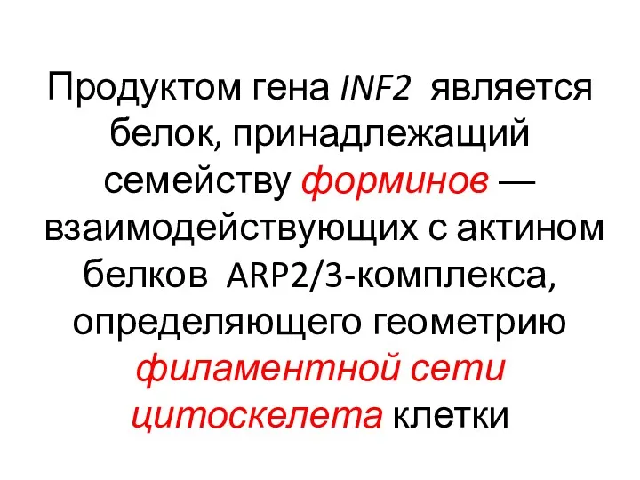 Продуктом гена INF2 является белок, принадлежащий семейству форминов ― взаимодействующих