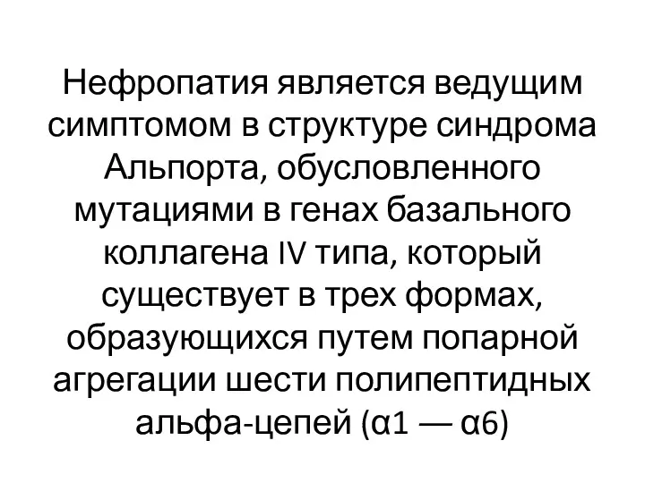 Нефропатия является ведущим симптомом в структуре синдрома Альпорта, обусловленного мутациями