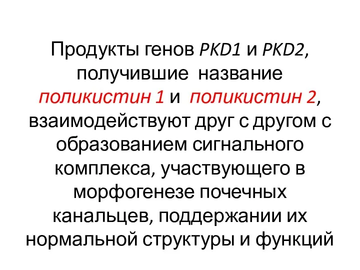 Продукты генов PKD1 и PKD2, получившие название поликистин 1 и