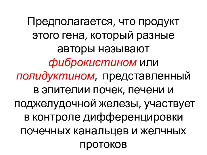 Предполагается, что продукт этого гена, который разные авторы называют фиброкистином