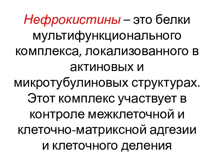 Нефрокистины – это белки мультифункционального комплекса, локализованного в актиновых и