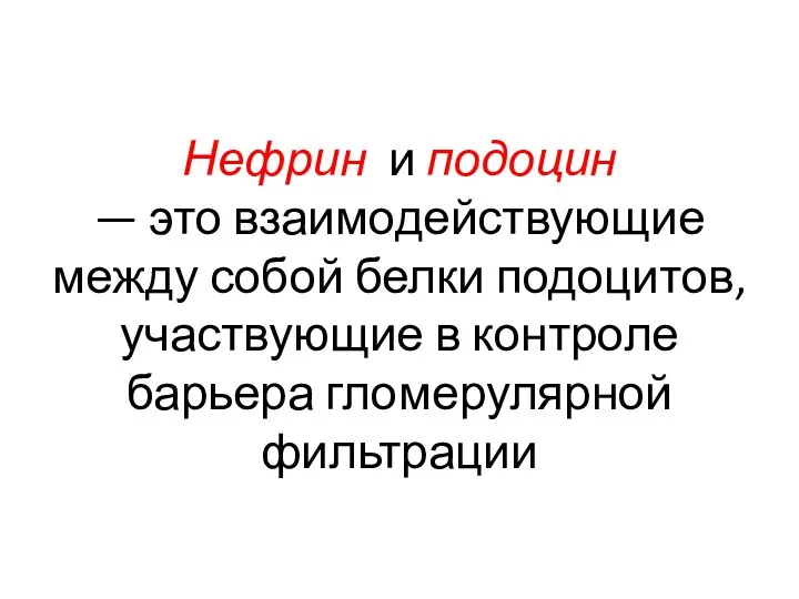 Нефрин и подоцин — это взаимодействующие между собой белки подоцитов, участвующие в контроле барьера гломерулярной фильтрации