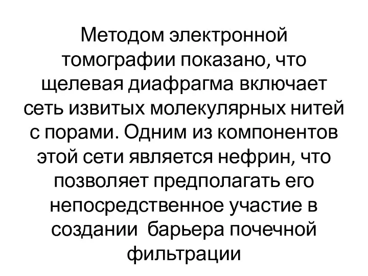 Методом электронной томографии показано, что щелевая диафрагма включает сеть извитых