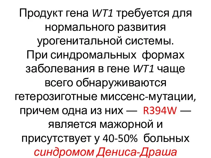 Продукт гена WT1 требуется для нормального развития урогенитальной системы. При