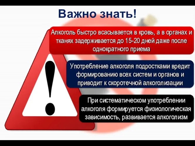 Важно знать! Алкоголь быстро всасывается в кровь, а в органах