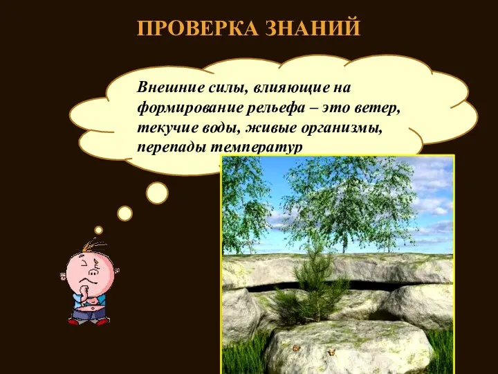 ПРОВЕРКА ЗНАНИЙ Какие внешние силы влияют на формирование рельефа? Внешние