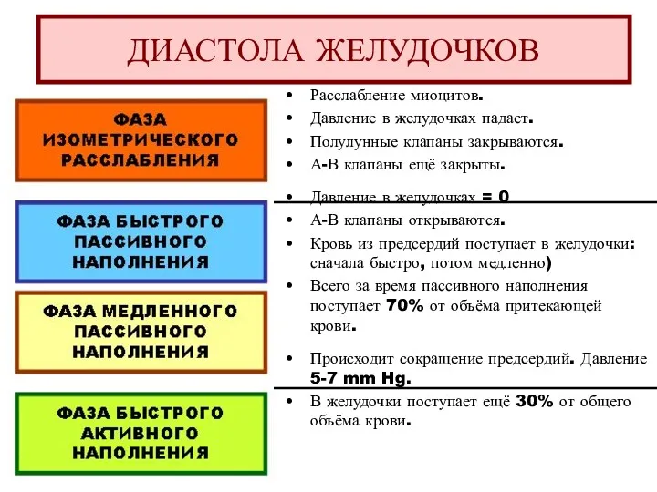 Расслабление миоцитов. Давление в желудочках падает. Полулунные клапаны закрываются. А-В