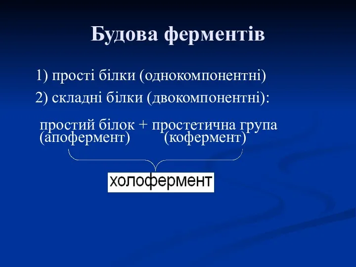 Будова ферментів 1) прості білки (однокомпонентні) 2) складні білки (двокомпонентні):