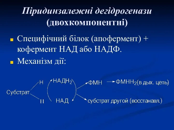 Піридинзалежні дегідрогенази (двохкомпонентні) Специфічний білок (апофермент) + кофермент НАД або НАДФ. Механізм дії: