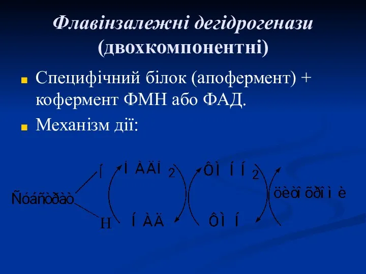 Флавінзалежні дегідрогенази (двохкомпонентні) Специфічний білок (апофермент) + кофермент ФМН або ФАД. Механізм дії: