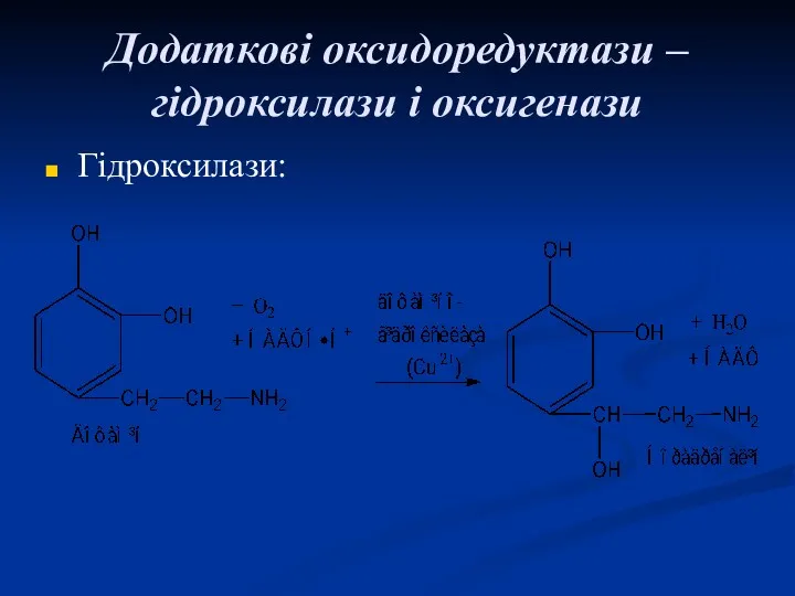 Додаткові оксидоредуктази – гідроксилази і оксигенази Гідроксилази: