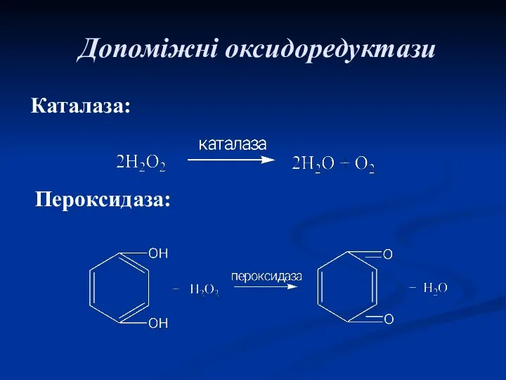 Допоміжні оксидоредуктази Каталаза: Пероксидаза: