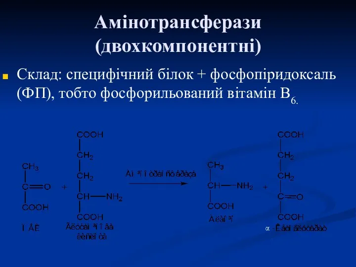 Амінотрансферази (двохкомпонентні) Склад: специфічний білок + фосфопіридоксаль (ФП), тобто фосфорильований вітамін В6. α