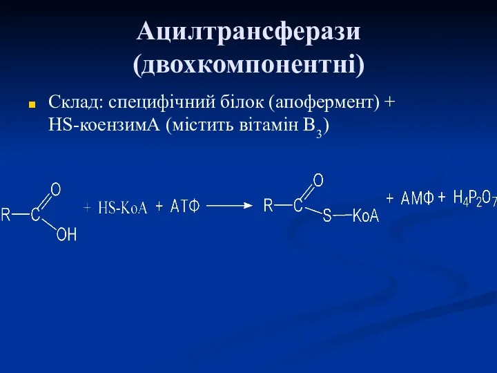 Ацилтрансферази (двохкомпонентні) Склад: специфічний білок (апофермент) + НS-коензимА (містить вітамін В3)