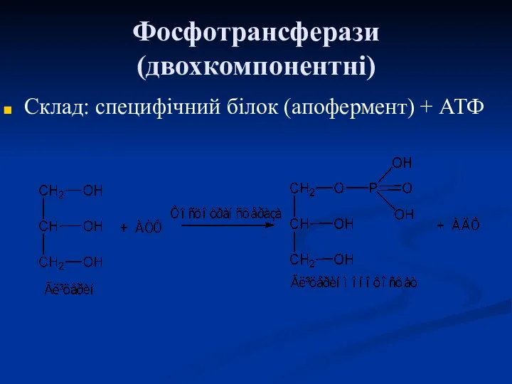 Фосфотрансферази (двохкомпонентні) Склад: специфічний білок (апофермент) + АТФ