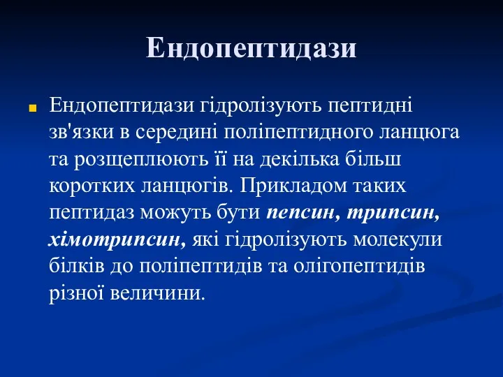 Ендопептидази Ендопептидази гідролізують пептидні зв'язки в середині поліпептидного ланцюга та