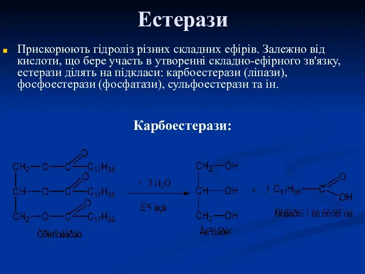 Естерази Прискорюють гідроліз різних складних ефірів. Залежно від кислоти, що